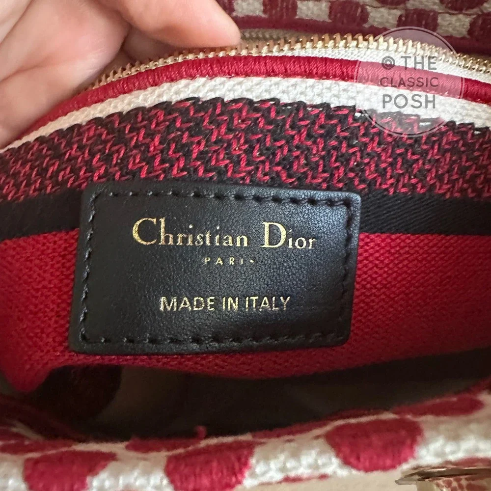 EUC Rare Christian Dior Lady D Lite Dioramour 2020 Lady Bug Dots Satchel Bag - Picture 9 of 16